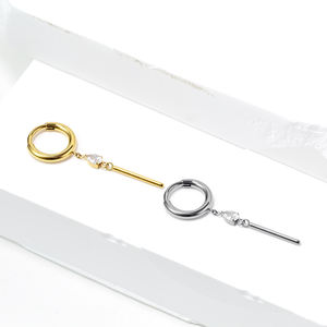 Модные серьги-кольца из титана ASTM F136 с подвесками и шарнирным сегментом для пирсинга ушей, женские украшения для пирсинга - Product Image 3