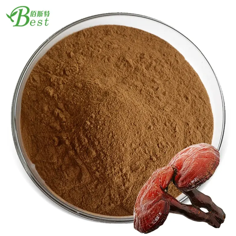 100% Pure Reishi Mushroom Extract Poeder/Lucide Ganoderma Extract/10:1 Ganoderma Lucidum Extract Poeder Paddestoel Gummy Complex