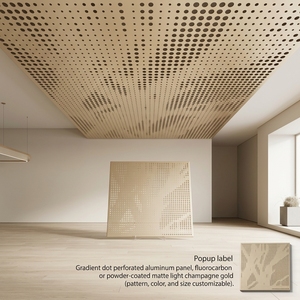 Pannello <span class=keywords><strong>per</strong></span> Soffitto in Alluminio Personalizzato OEM, Dimensioni Personalizzate ODM, Colore RAL, Rivestimento PVDF, Soffitto in Metallo <span class=keywords><strong>per</strong></span> Progetti Commerciali - Product Image 1