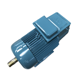Motor de Anillo para Grúa Trifásico de 380V CA Serie YZR con Eficiencia IE3 y Carcasa de Hierro Fundido - Product Image 3