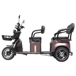 Tailg Top Quality Three Wheel Folding Box Cargo Passenger Scooter Electric Motorized Tricycle For Adults