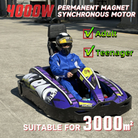 Go-Kart Eléctrico Monoplaza de 4000W para Adultos y Adolescentes, 72V, Motor Central, Drift, 70KM/H, Alquiler Comercial, Entretenimiento