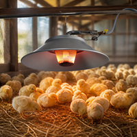 Chauffe-gaz infrarouge suspendu pour l'élevage de poussins et le chauffage des poulaillers