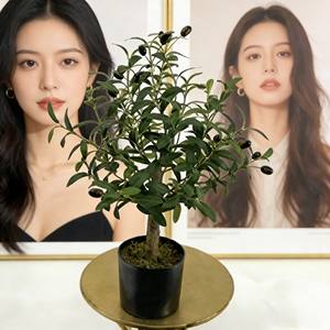 olivier - Product Image 4