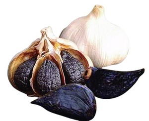 Poudre <span class=keywords><strong>d</strong></span>'<span class=keywords><strong>ail</strong></span> noir cultivé sauvage, extrait végétal, emballée sous vide, 100 % naturelle, en fût et en conteneur plastique – Meilleure vente - Product Image 3