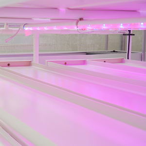 लाइइन 3-1 हाइड्रोपोनिक माइक्रोग्रीन हार्वेस्टर क्लोन मशीन हाइड्रोपोनिक के लिए हाइड्रोपोनिक - Product Image 4