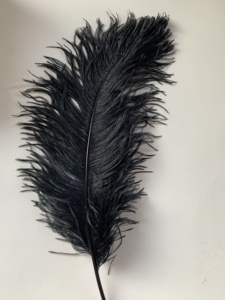 Plumas 60cm 65cm en gros Floral bricolage artisanat plume noir Femina plumes d'autruche plumes pour carnaval décor à la maison fête - Product Image 2