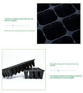 Plateaux de semis pour légumes et fruits X155, plateaux <span class=keywords><strong>en</strong></span> plastique épais pour jardin, ensemble de plateaux de semis - Product Image 5
