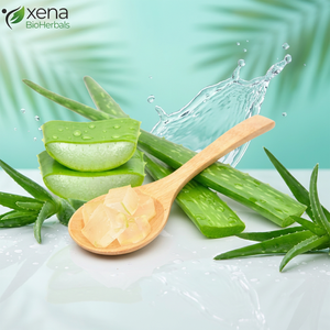 Gel d'aloe vera pur naturel, fournisseur en gros, soin hydratant pour la peau et les cheveux, étiquette privée OEM - Product Image 1