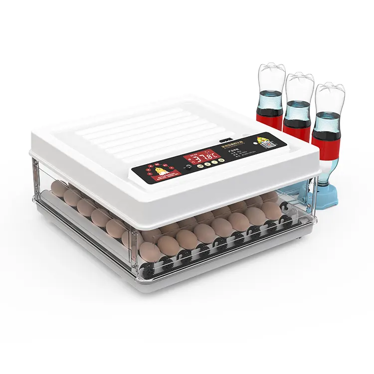 Automatic humidity control dual power 48 eggs incubator for chicken duck quail goose