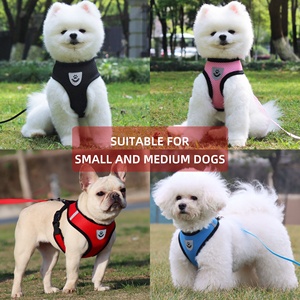 Imbracatura per cani e Set di guinzagli produttori di imbracature per gatti riflettenti morbide stampate in cotone personalizzate - Product Image 2