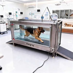 Système de tapis roulant aquatique pour animaux de compagnie, tapis roulant aquatique pour la rééducation canine vétérinaire, pour les grands chiens - Product Image 1