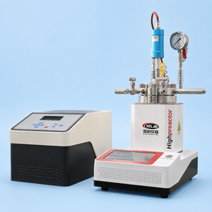 Réacteur de type spécial HT-CSB <span class=keywords><strong>à</strong></span> haute pression 12,5 MPa en alliage de nickel Inco avec manomètre et disque de <span class=keywords><strong>rupture</strong></span> - Product Image 5