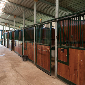 유럽 표준 핫 딥 아연 도금 말 안정 쉬운 설치 조립식 스톨 실내 영구적으로 새로운 금속 말 안정 - Product Image 3