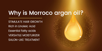 Marque privée Meilleure vente Sérum capillaire marocain certifié Traitement de soin Acheter 100% pur Sérum à l'huile d'argan biologique du Maroc
