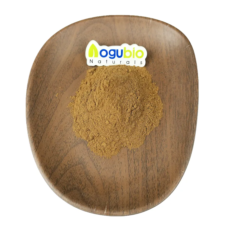 Di alta qualità estratto di foglia di loto 98% nuciferina organico foglia di loto estratto in polvere 2% nuciferina