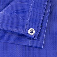 Bâche en PE tissée à grille bleu roi 6'x8' 10'x12' 12'x20' 20'x30' imperméable, résistante aux UV et anti-déchirure pour la protection des charges de camions lourds