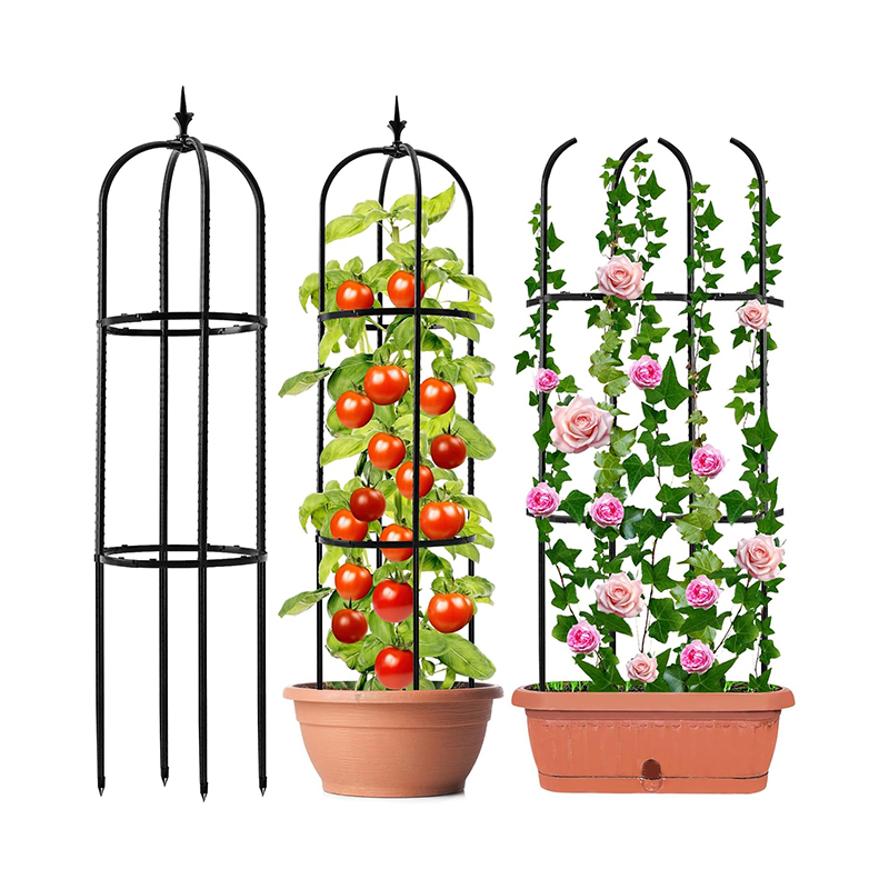 Tuteur De Jardin Décoratif En Fer - Support Pour Fleurs, Décoration Printanière Pour Balcon Et Patio - 3