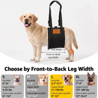 Attelle de Genou pour Chien Cruciate Care – Harnais de Soutien Simple en Néoprène Durable et Respirant pour L'Articulation Croisée du Genou (ACL) Abîmée de la Patte Arrière