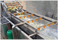 Energiebesparende fruit- en groentewasmachine industriële belwasmachine SUS304 roestvrij staal voor snackfabriek