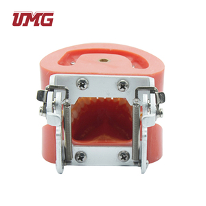 Modèle standard de dentition amovible en plastique pour l'éducation dentaire - Product Image 2