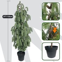 Sapin de Norfolk à toucher réel de 5 pieds |   Plantes artificielles en pot avec pot noir pour la décoration intérieure et extérieure