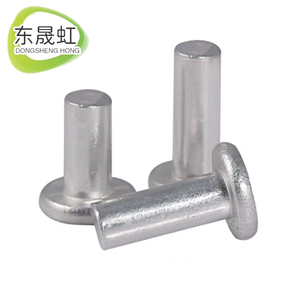 Rivets ronds à tête pleine en acier inoxydable 304, grands rivets semi-tubulaires à tête plate ronde, rivets en aluminium - Product Image 2