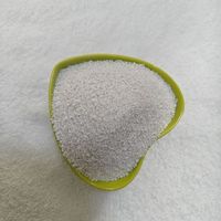 Perlite expansée horticole pour l'aération et le drainage du sol des plantes, perlite légère de qualité agricole pour l'hydroponie