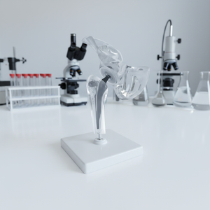 Modelo Anatómico Transparente de Implante de Articulación de Cadera para <span class=keywords><strong>Educación</strong></span> Ortopédica - Product Image 2