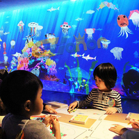 Projecteur de dessin magique interactif 3D, version LCD, jeu de projection murale interactif pour enfants