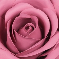 Meilleure vente de logo personnalisé marque privée rose rose rouge marron tissu rose fard à joues fard à joues visage produit de maquillage usage quotidien