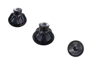 Sistema de Sonido Profesional Subwoofer Doble de 18 Pulgadas 18SW115 con Graves Potentes - Product Image 2