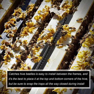 20 pièges à coléoptères pour <span class=keywords><strong>ruche</strong></span>, pièges en plastique pour coléoptères de <span class=keywords><strong>ruche</strong></span>, outils d'apiculture pour ruches - Product Image 4