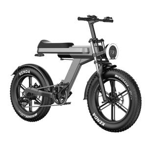 <span class=keywords><strong>C9</strong></span> removibile batteria agli ioni di litio elettrico grasso pneumatico bici 750W-1000w 15Ah motoslitta 20 pollici Mountain Bike elettrica velocità 50 KM/H - Product Image 2