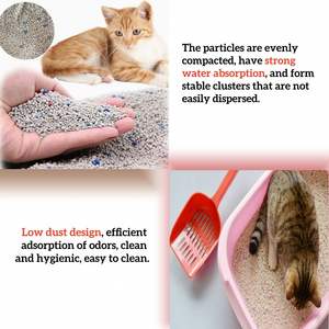 Litière pour chat en bentonite Eisen Zero Dust Pet Sand, agglomération instantanée, vente en gros, arena para gatos - Product Image 4