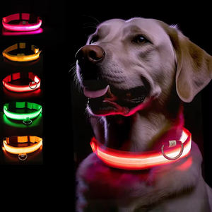 Venta al por mayor a granel de moda cargador USB neón mascota perro collares reflectantes perro gato collares con luz ajustable - Product Image 1