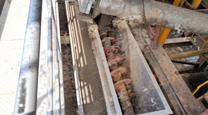 特許取得済みの黒酒抽出装置-パルプミル用の90% 3段階抽出 - Product Image 2