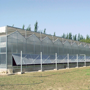 Cadre en acier pour serre à haut <span class=keywords><strong>tunnel</strong></span> avec tapis de contrôle des mauvaises herbes pour la plantation de concombres - Product Image 5