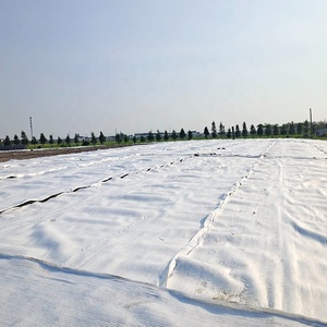 Prix usine longue fibre tissu non tissé Eco PET/PP <span class=keywords><strong>géotextile</strong></span> aiguille perforée anti-âge <span class=keywords><strong>pour</strong></span> le Drainage d'isolement de Filtration de sable - Product Image 4