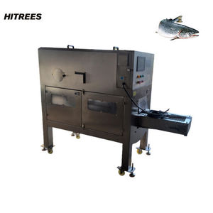 Máquina Procesadora de Pescado Portátil Pequeña para Unidad de Comida Móvil - Product Image 2