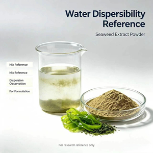 Extracto de Algas Sargassum en Polvo de Alta Calidad 10:1, Sargassum Fusiforme <span class=keywords><strong>Hijiki</strong></span> para Suplemento Dietético, Materia Prima Botánica - Product Image 2