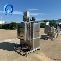 Sistemas de Dosificación de Floculantes para Tratamiento de Agua, Preprocesamiento, Control Automático, Preparación de Polímeros Químicos en Polvo, Linzhen, 1 Año