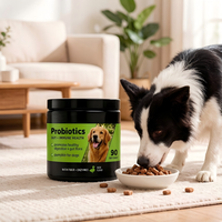 Complément alimentaire pour animaux de compagnie, comprimés probiotiques pour chiens, OEM/ODM, soutient la santé intestinale et la fonction digestive, soutient le système immunitaire, soutient la flore intestinale