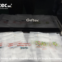 Imprimante de cartes UV haute efficacité Giftec à passage unique pour pochettes en plastique, sacs BOPP, nylon, PE - Machine à jet d'encre automatique