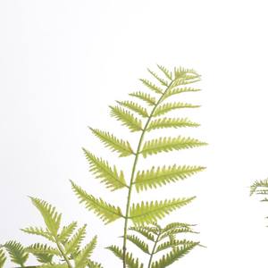 <span class=keywords><strong>ต้นไม้</strong></span>ประดิษฐ์ ใบเฟิร์นพลาสติก หญ้าเปอร์เซีย เป็นมิตรกับสิ่งแวดล้อม สมจริงสูง ตกแต่งบ้านและสวนในร่ม - Product Image 6