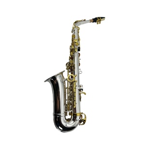 Saxofón Alto de Latón de Alta Calidad JYAS102DSG EB en Tono Plateado con Llaves Doradas, Instrumento de <span class=keywords><strong>Viento</strong></span> Plegable Ajustable, Incluye Accesorios - Product Image 2