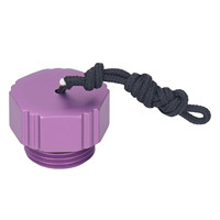 Capuchon anti-poussière pour régulateur de plongée sous-marine, en alliage d'aluminium fileté, pour première étape DIN, capuchon de protection anti-poussière pour valve de bouteille de plongée, violet