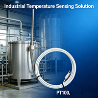 Waterproof Threaded RTD Thermocouple Sensor OEM ODM Custom Stainless Steel PT100 PT1000 3-Wire with Thermowell Tri-Clamp