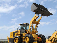 Macchina Movimento Terra XG955H Mini Pala Gommata Diesel da 5T con Benna da 5m³ per Trattore Agricolo