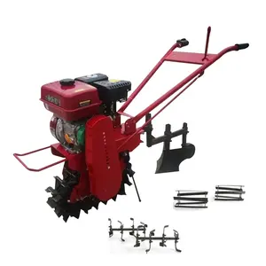 Mini döner ekici 10hp kültivatör staub yetiştirmek için sıcak satış traktörleri bahçe makinesi